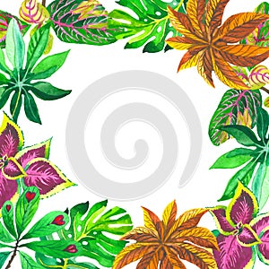 Tropical Hawaii leaves palm tree frame in a vector style.