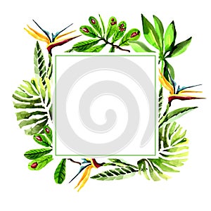 Tropical Hawaii leaves palm tree frame in a watercolor style.