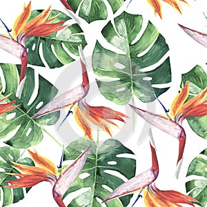 Tropical Hawaii leaves palm tree pattern in a watercolor style isolated.