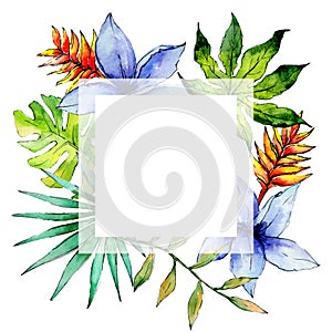 Tropical Hawaii leaves plants frame in a watercolor style.