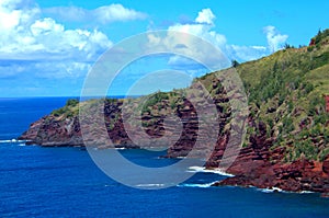 Tropical Hawaii ocean beach shoreline