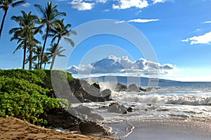 Tropical Hawaiian Beach