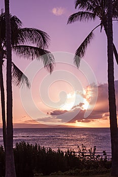 Tropical Hawaiian Sunset on Maui