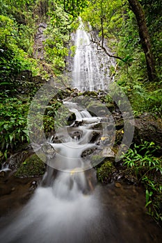 Tropical Hawaiian waterfall deep in the rianforest