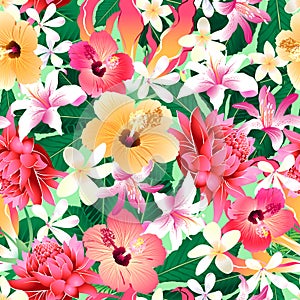 Tropical hibiscus floral 4 seamless pattern