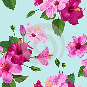 Tropical Hibiscus Flower Seamless Pattern