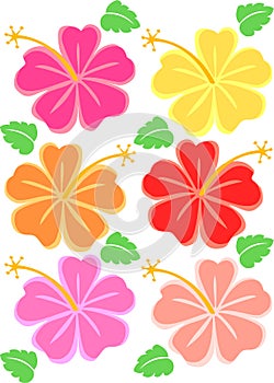 Tropical Hibiscus Flowers/eps photo