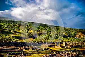 Tropical Hillside Cemetery with Mountain View