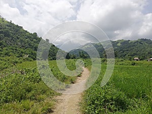 Tropical hilly countryside in rural part of Abra de Ilog, Mindoro