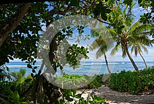 A tropical holiday scene in Tonga