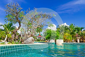 Tropical holidays at swimming pool