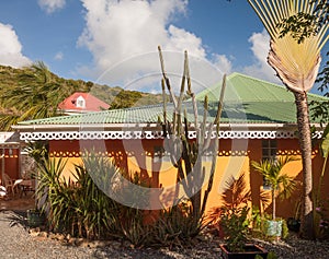 Tropical homes in St Martin