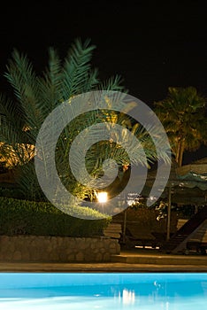 Tropical hotel swimming pool