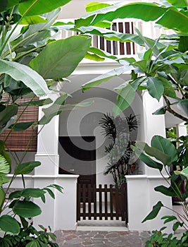 Tropical house with lush garden photo