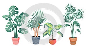 Tropical house plants decor vector illustration set, cartoon flat potted plant from tropics botanical collection in clay