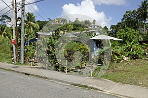 Tropical houses in Grande Riviere village in Trinidad and Tobago
