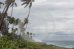 Tropical hurricane. Strong wind and big waves