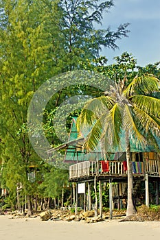 Tropical huts on stilts