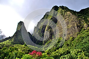 Tropical Iao Needle Valley Park