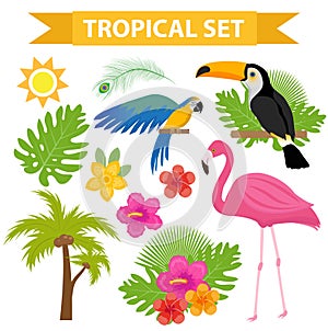 Tropical icon set with birds and flowers, flat, cartoon style. Exotic collection of design elements with toucan, parrot