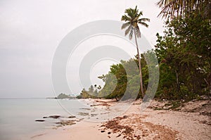 Tropical idyllic paradise beach