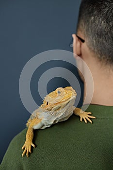 Tropical iguana sitting on shoulder