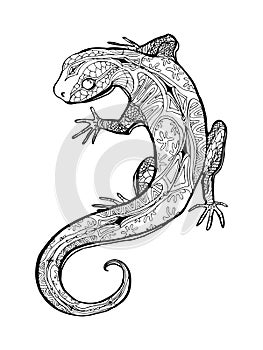 Tropical illustration with lizard