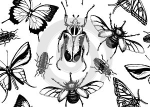 Tropical insects seamless pattern. Vector backdrop with hand drawn beetles and butterflies. Vintage entomological background.