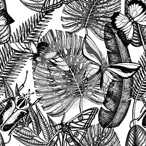 Tropical insects seamless pattern. Vector backdrop with hand drawn tropical plants,  palm leaves, insects. Vintage entomological