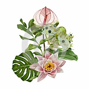 Tropical Invitation, floral invite thank you, rsvp modern card Design. Set of tropical bouquet with lotus, star-of-Bethlehem,