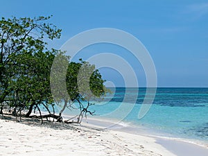 Tropical island photo