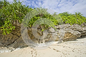 Tropical island photo
