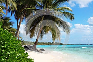 Tropický ostrov pláž 