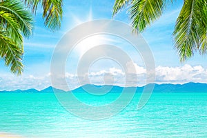 Tropical island beach background, exotic landscape, turquoise sea water, white sand, green palm tree leaves, sun blue sky clouds