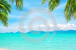 Tropical island beach background, exotic landscape, turquoise sea water, white sand, green palm tree leaves, sun blue sky clouds