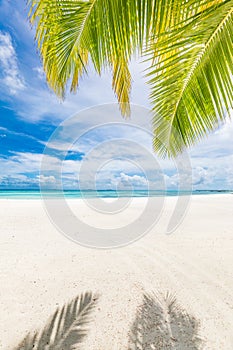 Tropical island beach, fresh green palm leaves, sunny shore, white sand close to blue sea