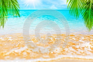 Tropical island beach nature, blue sea wave, turquoise ocean water, yellow sand, green palm tree leaves, sun, sky, white clouds