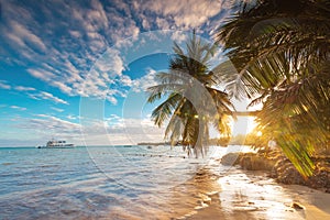 Tropical island beach with palm trees on the Caribbean Sea shore at sunrise