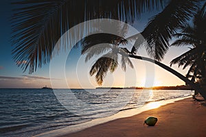 Tropical island beach with palm trees on the Caribbean Sea shore at sunrise