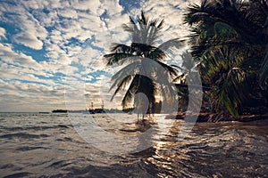 Tropical island beach with palm trees on the Caribbean Sea shore at sunrise