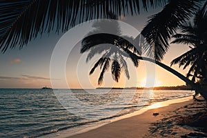 Tropical island beach with palm trees on the Caribbean Sea shore at sunrise