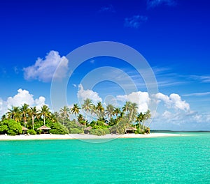 Tropical island beach with palm trees and cloudy blue sky