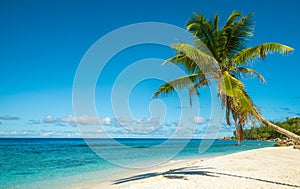 Tropical island beach. Perfect vacation background.