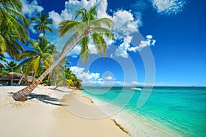 Tropical island beach shore with exotic palm trees, clear water of caribbean sea. Playa Bavaro, Saona, Punta Cana, Dominican