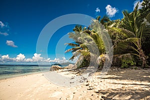 Tropical island beach, Source d`Argent, La Digue, Seychelles