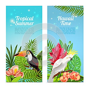 Tropical island birds vertical banners set