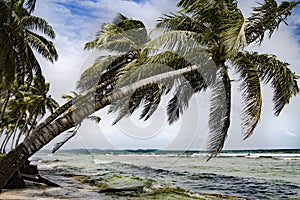 Tropical island with bowed palms, stormy weather, Caribbean sea, Panama