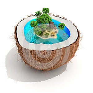 Tropical island in coconut