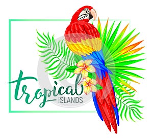 Tropical island composition with parrot leaves flowers