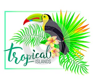 Tropical island composition with toucan leaves flowers